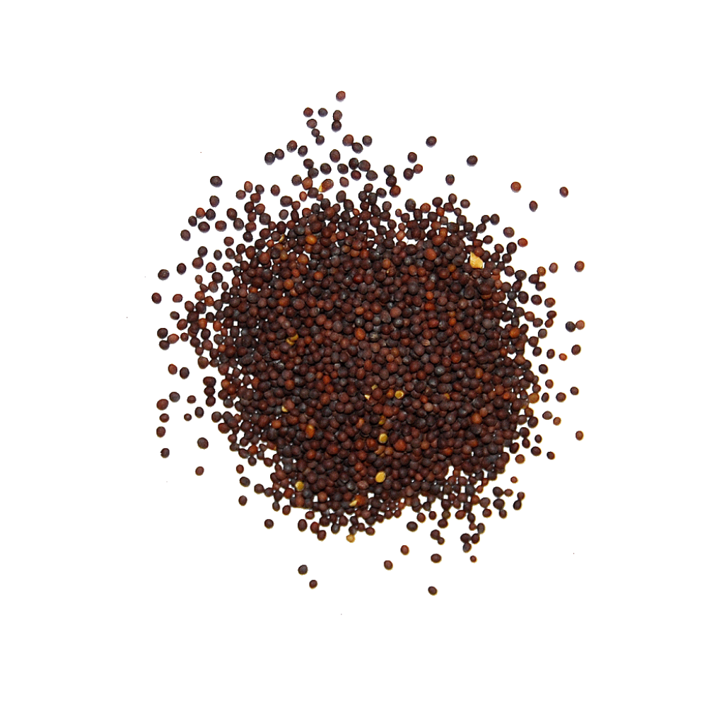 Lakdi Ghani Mustard Oil