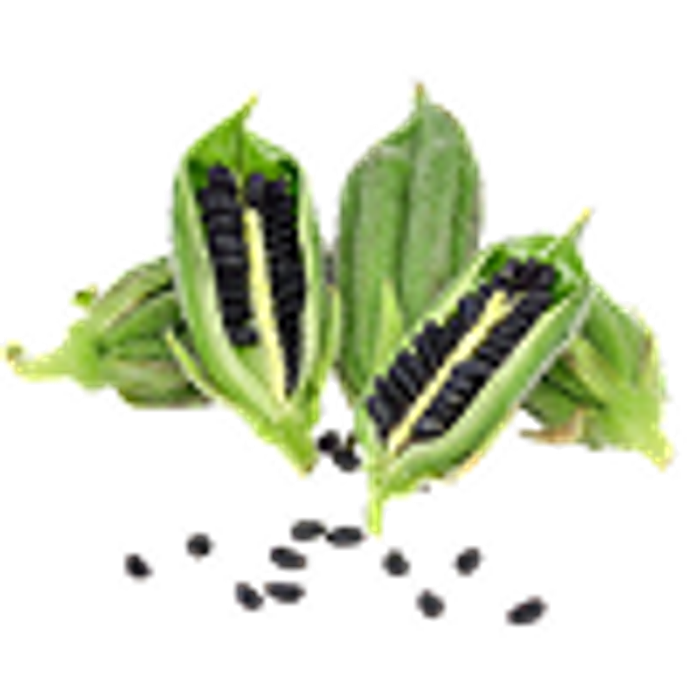 Lakdi Ghani Sesame Oil